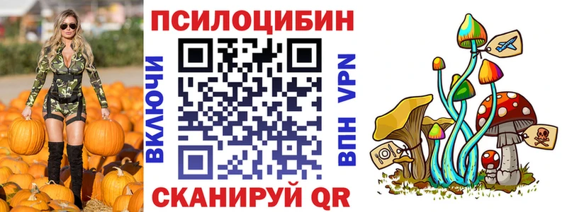 Купить  Ленинградская  Псилоцибиновые грибы GOLDEN TEACHER 