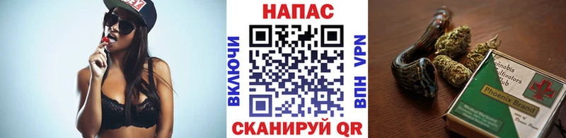 Купить где  Ленинградская  Канабис планчик 