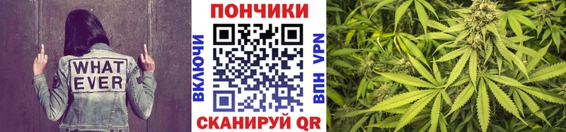 Марихуана план Ленинградская